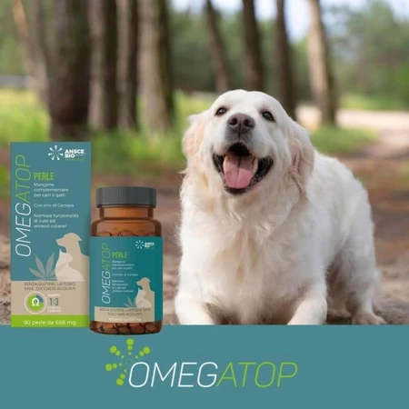 Ansce bio generic Omegatop 90 parels 683 mg - aanvullende voeding voor de huidfunctie
