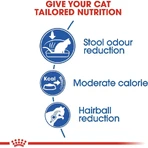 Royal canin Indoor 27 - alimento completo para gatos adultos 400 gr.