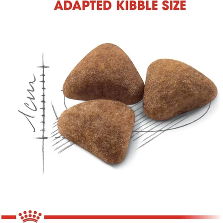 Royal canin Indoor 27 - alimento completo para gatos adultos 400 gr.