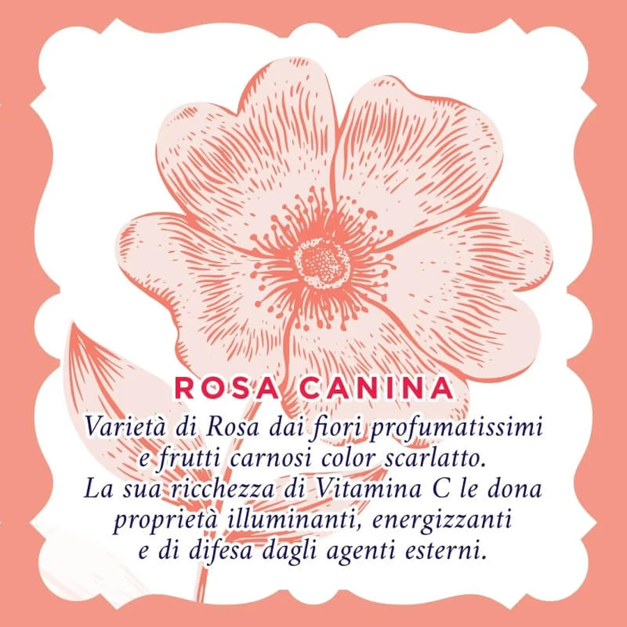 Agua de Rosas Iluminadora - crema antiarrugas spf20 antimanchas 50 ml