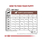 Royal canin Gastrointestinal puppy - Alleinfuttermittel für Welpen, trächtige und säugende Hündinnen 1 kg