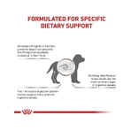 Royal canin Gastrointestinal puppy - Alleinfuttermittel für Welpen, trächtige und säugende Hündinnen 1 kg