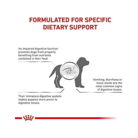Royal canin Gastrointestinal puppy - Alleinfuttermittel für Welpen, trächtige und säugende Hündinnen 1 kg