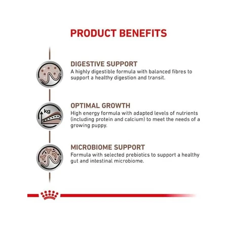 Royal canin Gastrointestinal puppy - Alleinfuttermittel für Welpen, trächtige und säugende Hündinnen 1 kg