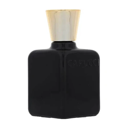 Roberto capucci Anima nera - Rasierwasser 100 ml