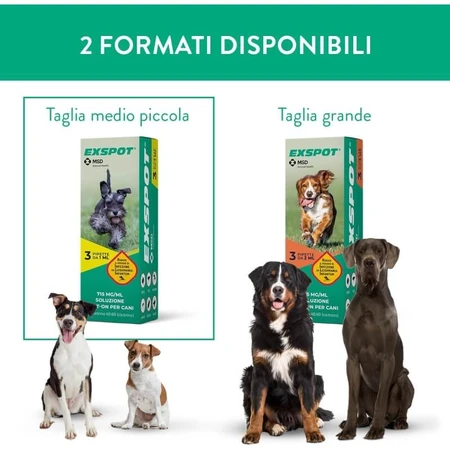 Msd animal health Exspot - 3 pipetas spot-on de 1 ml para perros