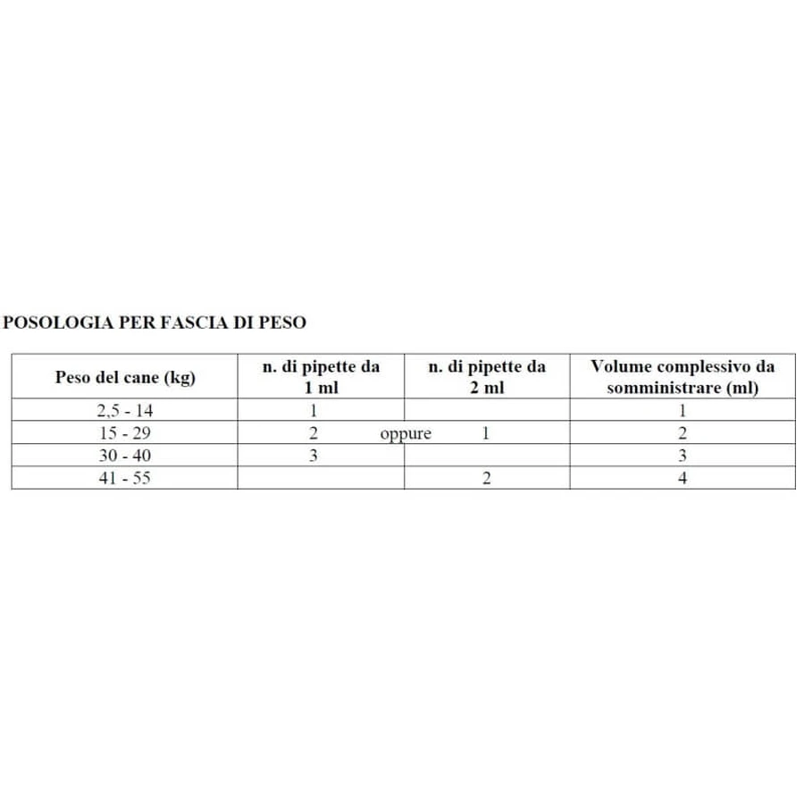 Msd animal health Exspot - 3 pipetas spot-on de 1 ml para perros