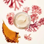 Shiseido Benefiance Falten glättende Tagescreme spf25 - Anti-Falten-Tagescreme 50 ml