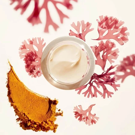 Shiseido Benefiance Falten glättende Tagescreme spf25 - Anti-Falten-Tagescreme 50 ml