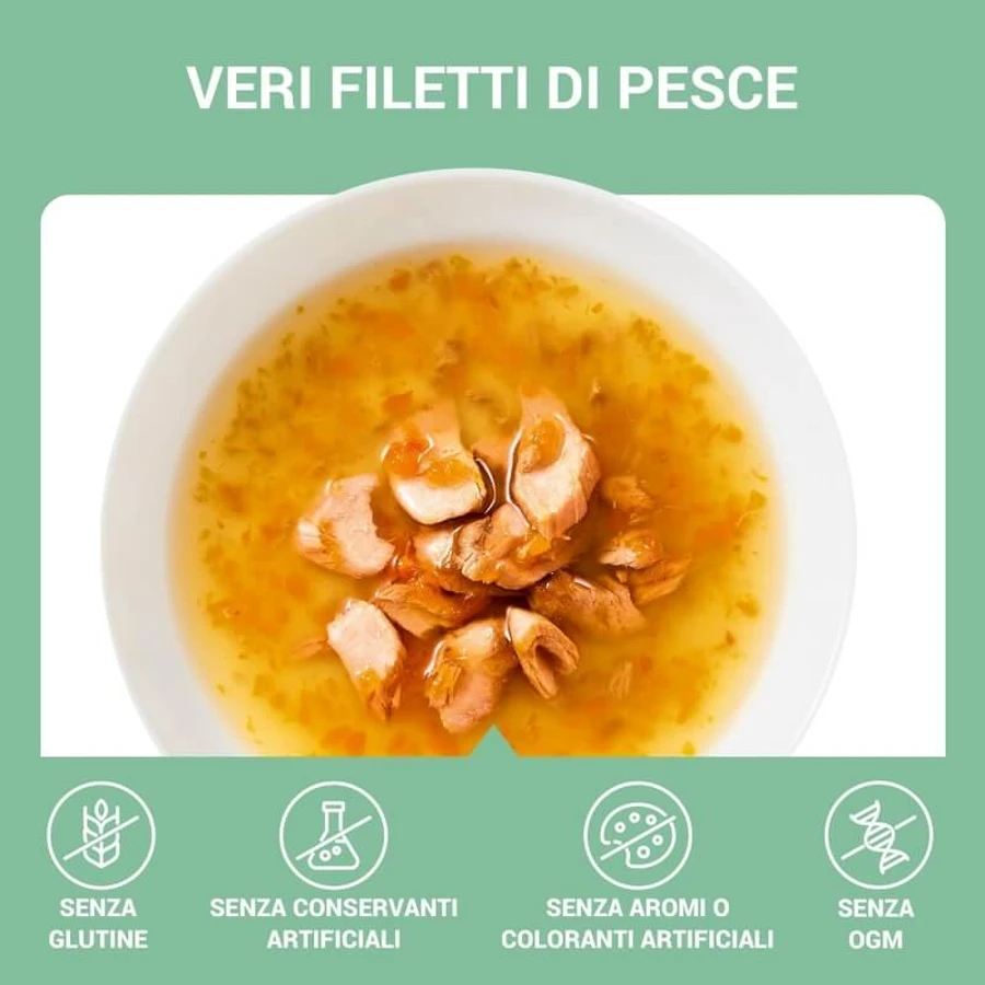 Schesir Soup zalm en wortelen - complete voeding ter bevordering van de hydratatie van katten 40 gr