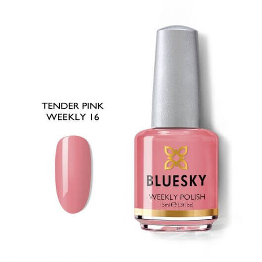 Acquista Smalto per unghie Bluesky Tender Pink 15ml Smalto per unghie Bluesky Tender Pink 15ml