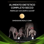 Purina proplan diet hypoallergenic - complete food for puppies and adult dogs with food intolerances 1.3 kg