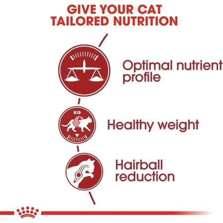 Royal canin Fit 32 - volledige voeding voor huiskatten 10 kg