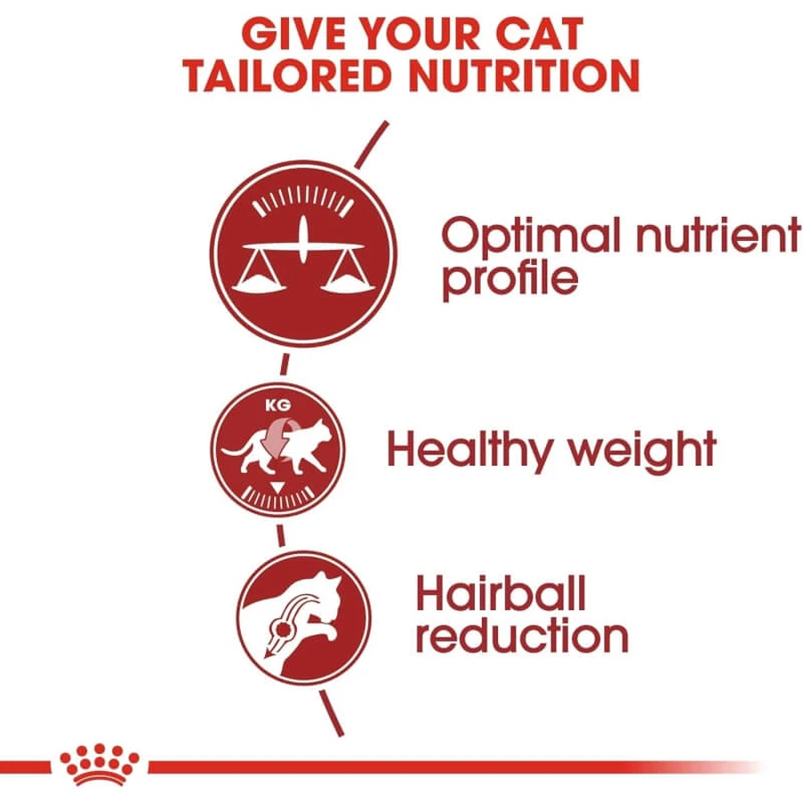 Royal canin Fit 32 - volledige voeding voor huiskatten 10 kg