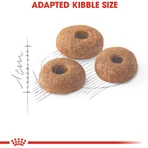 Royal canin Fit 32 - volledige voeding voor huiskatten 10 kg