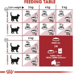 Royal canin Fit 32 - volledige voeding voor huiskatten 10 kg