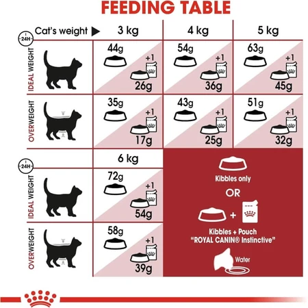 Royal canin Fit 32 - volledige voeding voor huiskatten 10 kg