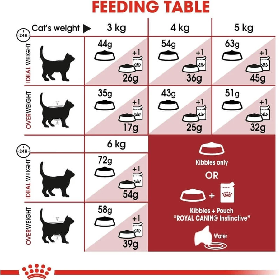 Royal canin Fit 32 - volledige voeding voor huiskatten 10 kg