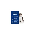 Hill's Prescription diet gastrointestinal biome Huhn und Gemüse - Futter für Katzen mit gastrointestinalen Störungen 82 gr