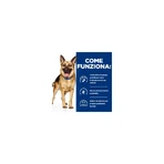 Hill's Prescription diet gastrointestinal biome kip - voeding voor honden met maag-darmproblemen 200 gr