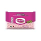 Inodorina Refresh bio - 30 biodegradable powder-scented wipes for dogs and cats