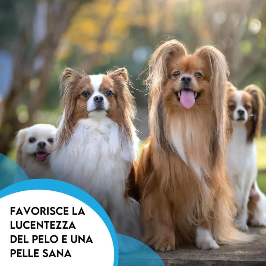 Zoma vet Zomavet aceite de pescado 93 salmón - alimento complementario para la inmunidad y la inflamación 10 viales 10 ml