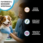 Zoma vet Zomavet aceite de pescado 93 salmón - alimento complementario para la inmunidad y la inflamación 10 viales 10 ml