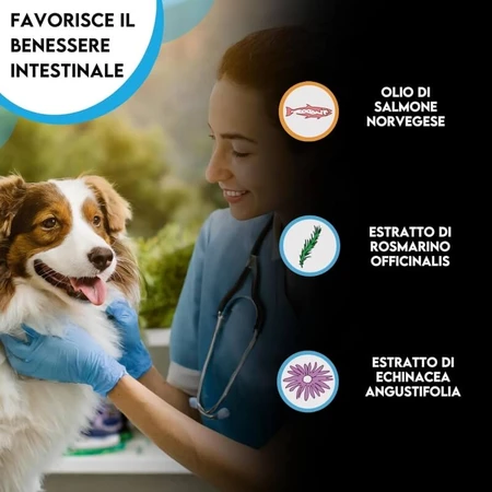 Zoma vet Zomavet aceite de pescado 93 salmón - alimento complementario para la inmunidad y la inflamación 10 viales 10 ml