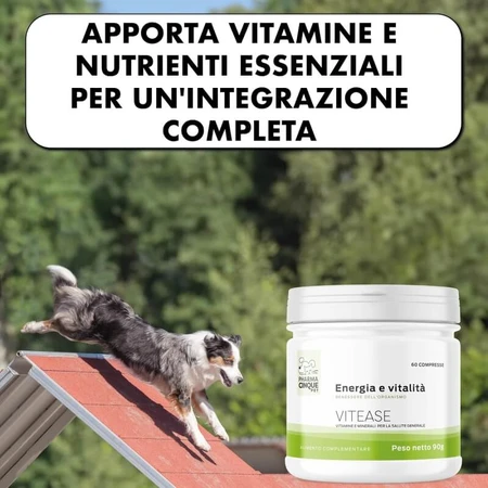 Pharma5pet Vitease energy and vitality - complementary food for dogs and cats 60 tablets