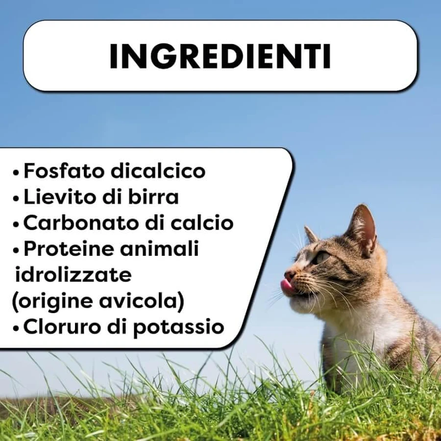 Pharma5pet Vitease energy and vitality - complementary food for dogs and cats 60 tablets