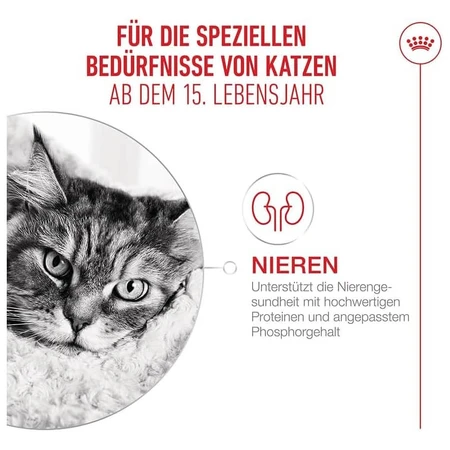Royal canin Ageing 15+ - volledig droogvoer voor senior katten 400 gr.