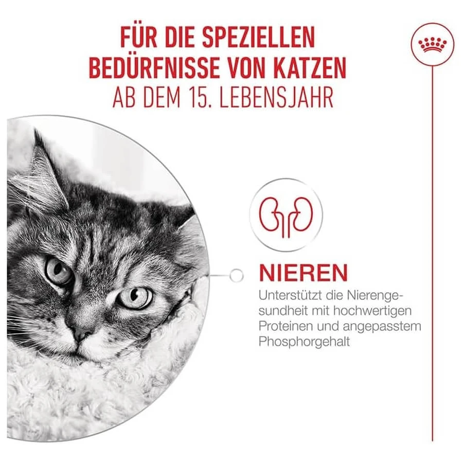 Royal canin Ageing 15+ - volledig droogvoer voor senior katten 400 gr.