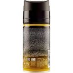 Malizia Amber - deodorant spray for men 150 ml