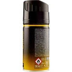 Malizia Amber - deodorant spray for men 150 ml