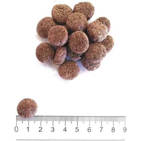 Prolife Dualfresh adult medium large mit Truthahn-Schweinefleisch &amp; Reis - Alleinfuttermittel für Hunde 12 kg