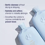 Oribe Durchlaufendes Entwirrungsshampoo - Entwirrungsshampoo 250 ml