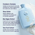 Oribe Durchlaufendes Entwirrungsshampoo - Entwirrungsshampoo 250 ml