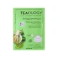 Teaology Matcha tea superfood mask - firming and nourishing face mask