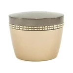 Elizabeth arden Ceramide premiere overnight - crema regeneradora 50 ml