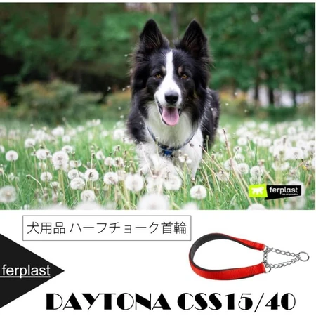 Ferplast Daytona css15-40 - collier semi-angulaire rouge en nylon rembourré 40 cm 15 mm