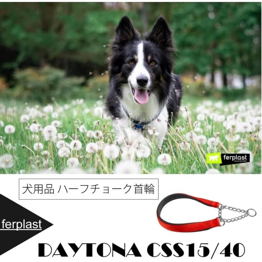 Ferplast Daytona css15-40 - collier semi-angulaire rouge en nylon rembourré 40 cm 15 mm