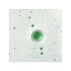 Caudalie Vinoclean - reinigend schuim met wijnstokbloemen 150 ml