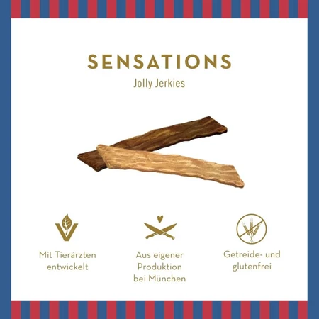 Terra canis Sensations jolly jerkies turkey - chewable snack for dogs 90 gr