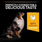 Purina pro plan age defense medium &amp; large adult 7+ con pollo - alimento completo para perros 3 kg