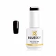Semi-permanent nail polish Bluesky UV Plum Paisley 15ml 