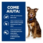 Hill's Prescription diet metabolic lam en rijst - droogvoer voor volwassen honden voor gewichtsbehoud 10 kg