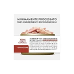 Schesir Complementen filets in gelei tonijn en pompoen - volledige voeding voor katten 70 gr