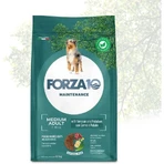 Forza10 Maintenance medium adult with deer with potatoes - complete food for dogs 2 kg