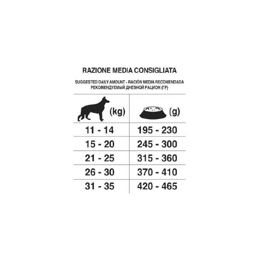 Forza10 Maintenance medium adult with deer with potatoes - complete food for dogs 2 kg