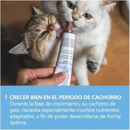 Gimborn Gimcat pasta para gatitos 6m+- pasta complementaria para gatitos 50 gr.